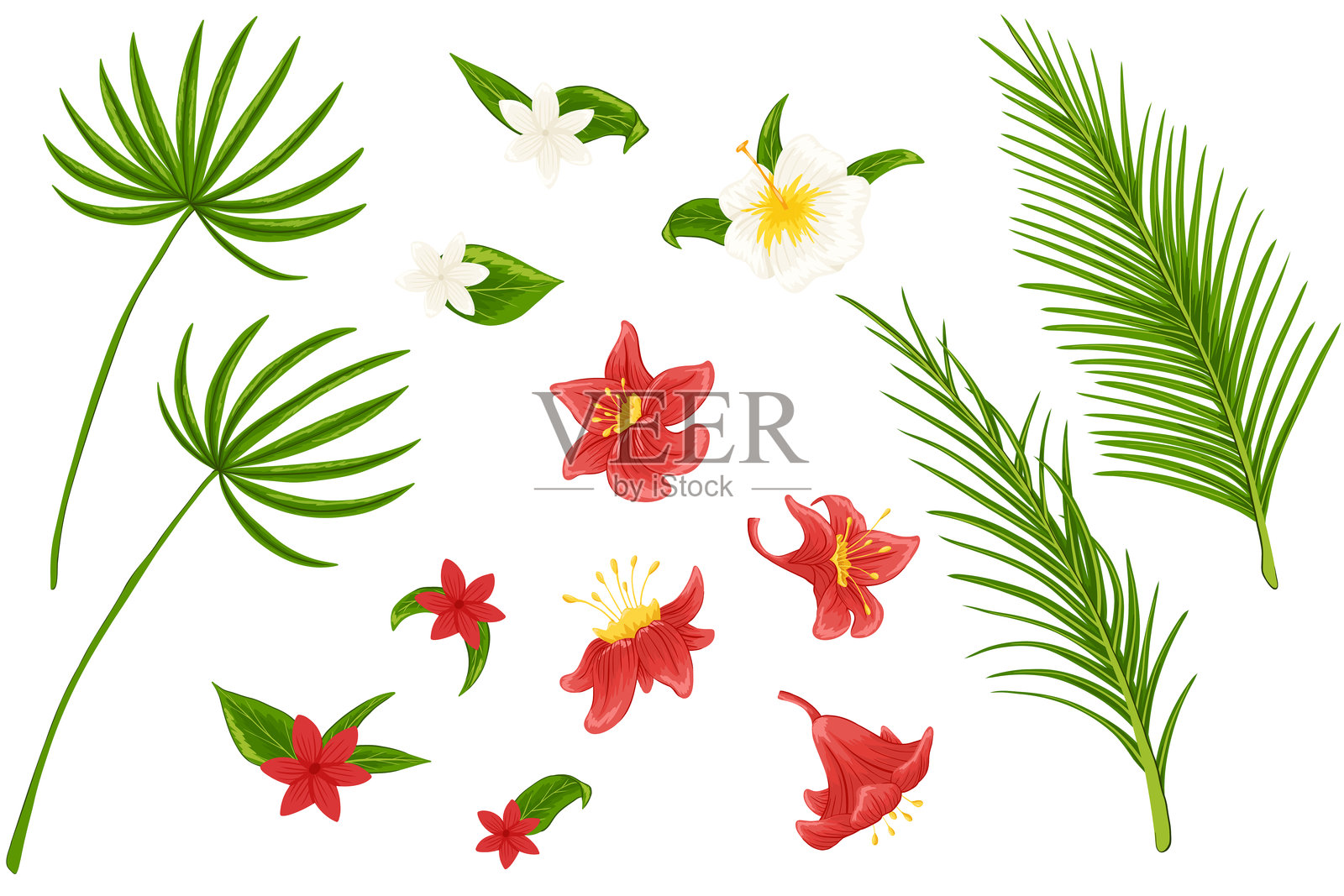 矢量热带集插图与异国情调的花朵和棕榈叶插画图片素材
