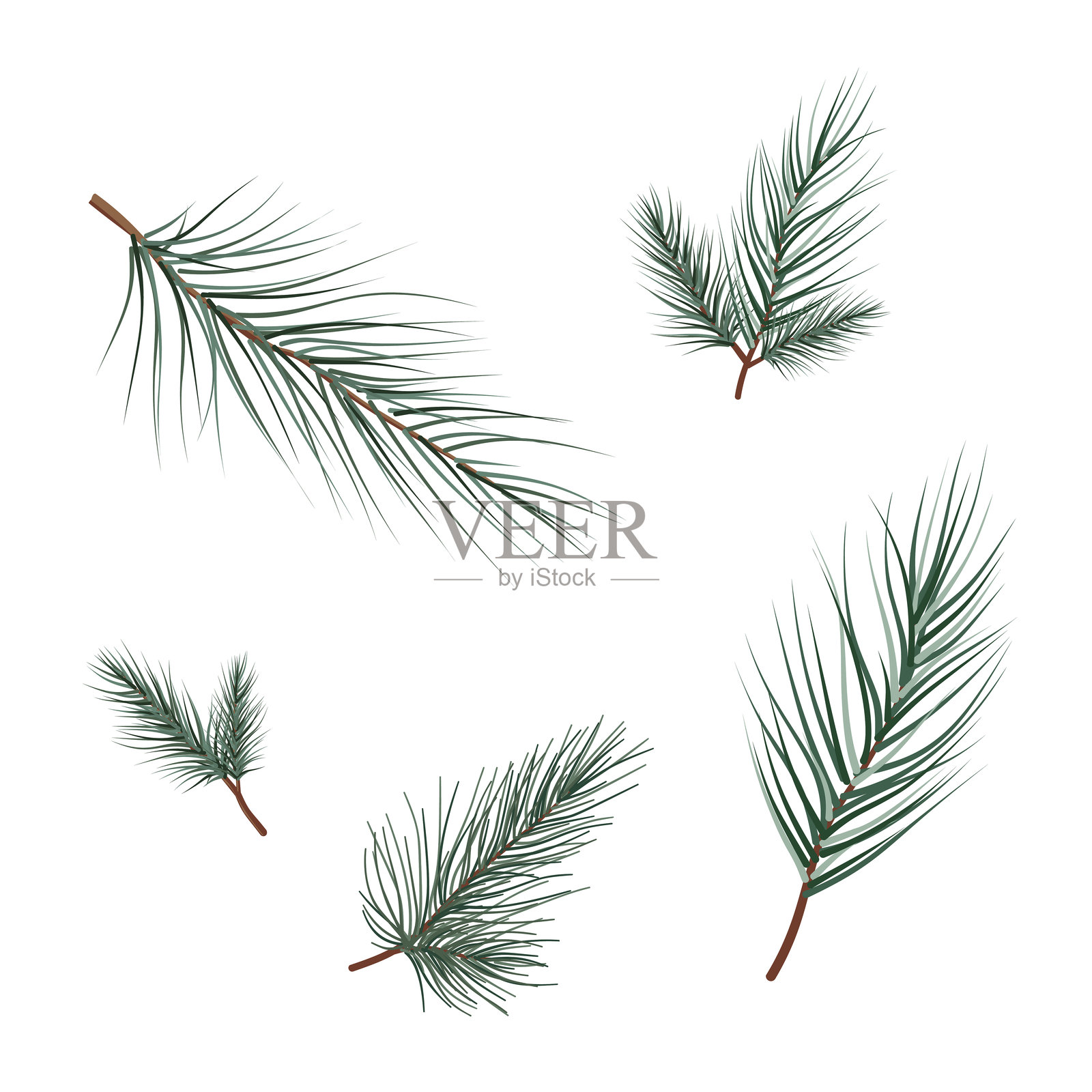 一组冷杉树枝的剪贴画在白色背景上隔离-矢量插图插画图片素材