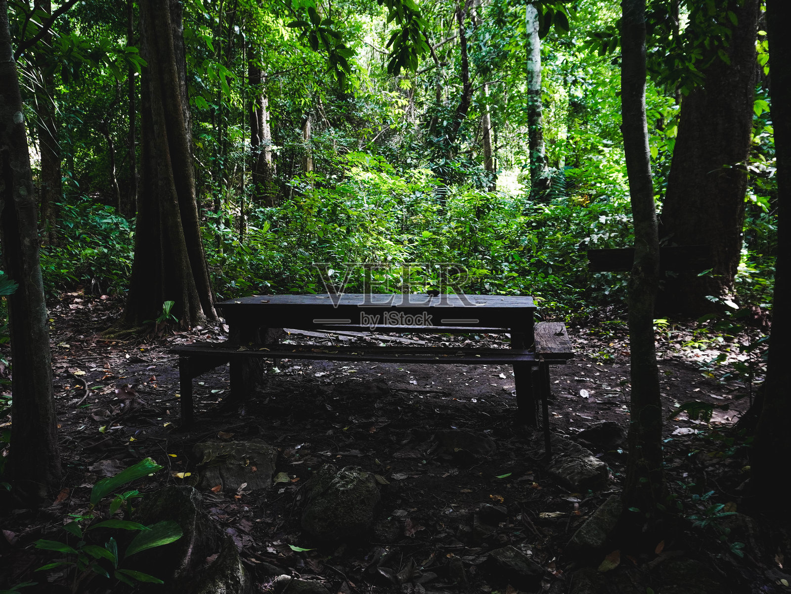 泰国北碧府Chalerm Rattanakosin国家公园的自然步道，被郁郁葱葱的绿色森林包围的Tham Tarn Lod Noi洞穴。照片摄影图片
