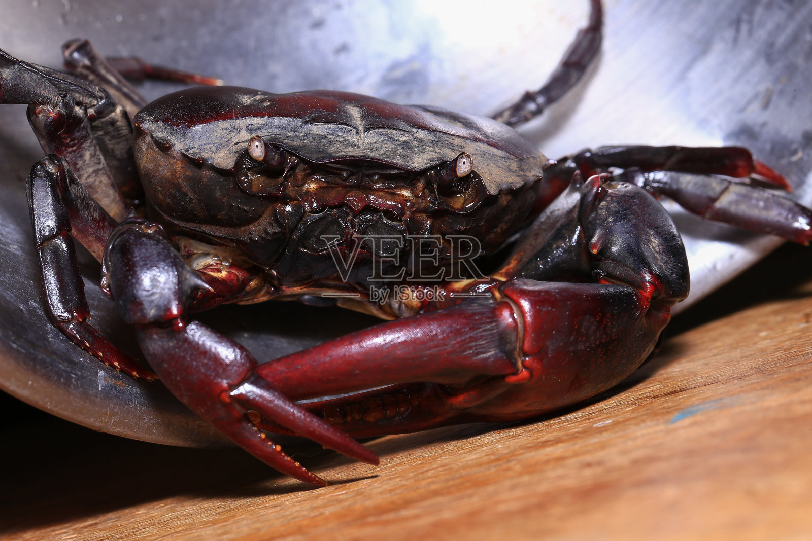 地上的红岩蟹，一只蟹的特写照片摄影图片