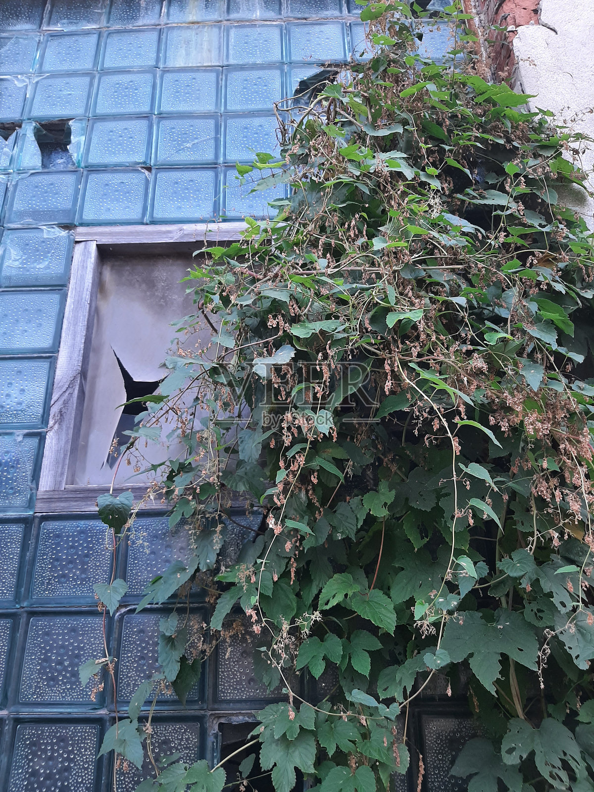 旧的窗口照片摄影图片