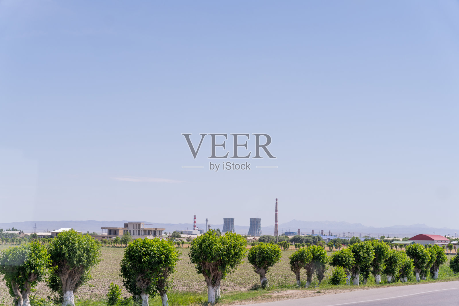 沿路排列着一排树。天空晴朗，阳光灿烂照片摄影图片