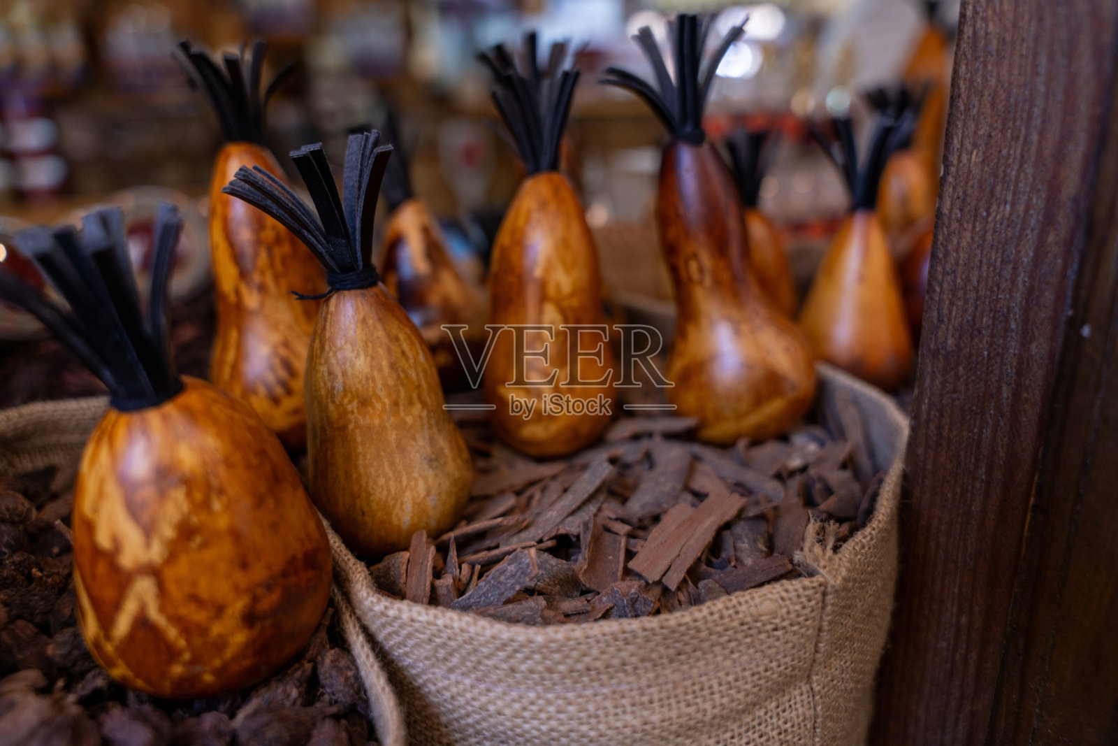 一堆木屑上放着一串梨状的木果。梨的大小和形状各不相同照片摄影图片