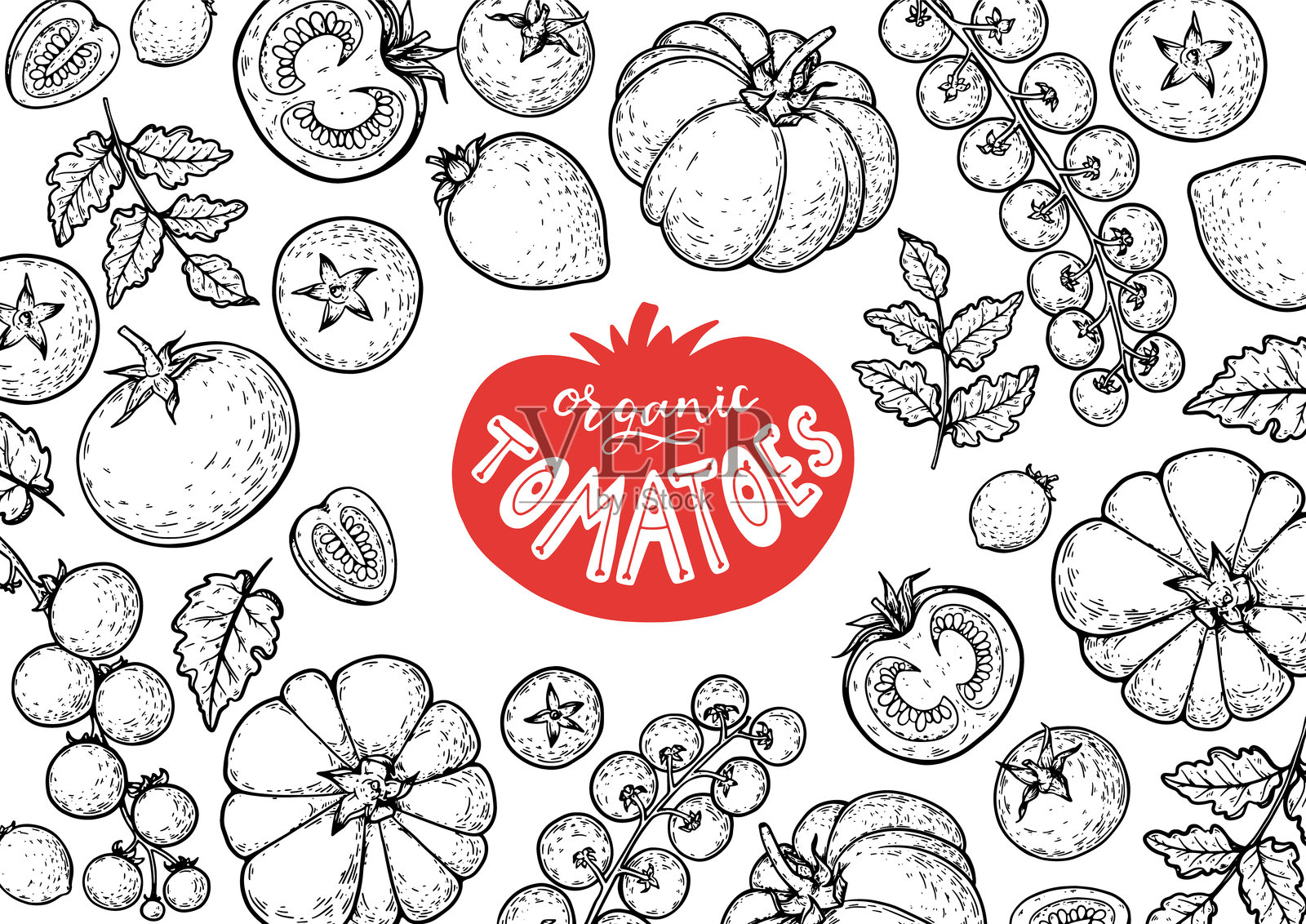 西红柿框架。手绘插图。番茄蔬菜速写。有机番茄设计模板。矢量插图。包装设计要素。插画图片素材