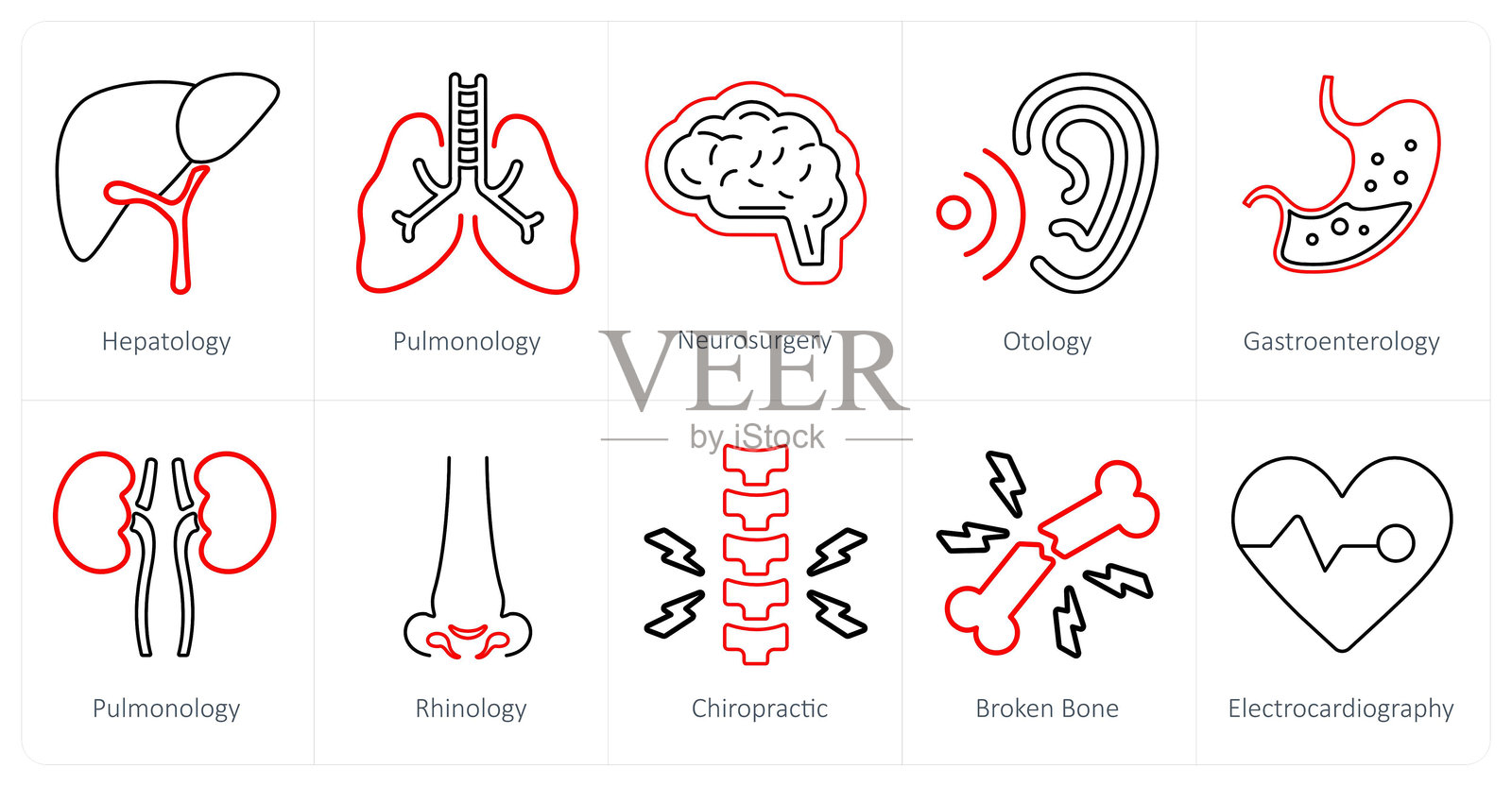 一套10个医学图标，如肝病学，肺病学，神经外科插画图片素材