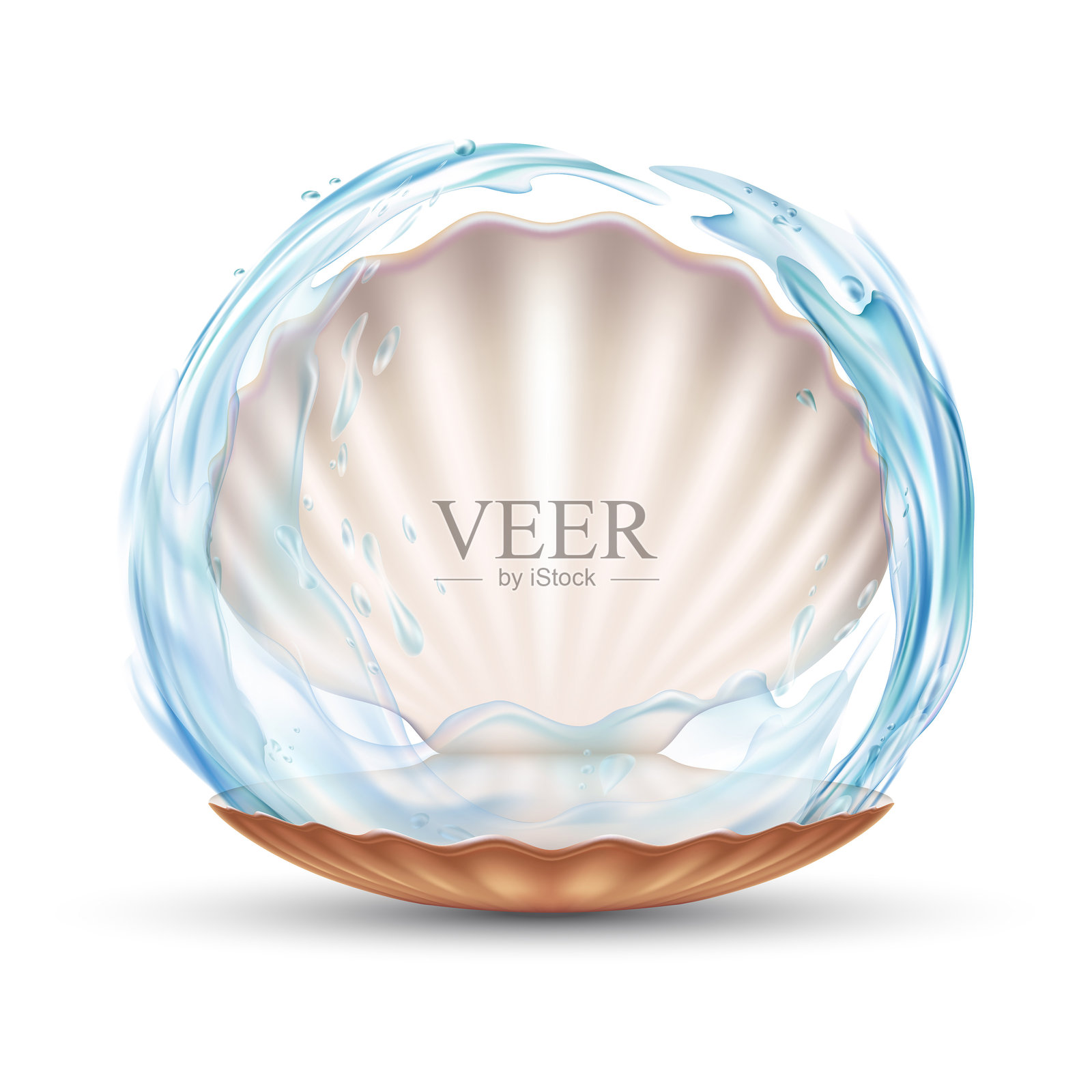 空开的贝壳。溅起水花插画图片素材