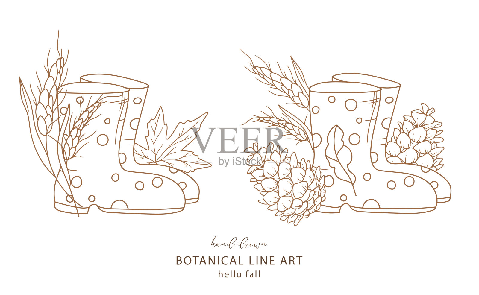 有麦穗和麦叶的雨靴。秋天的安排孤立在白色。靴子线条艺术插图。秋天手绘轮廓。秋天着色页。传统感恩节图片插画图片素材