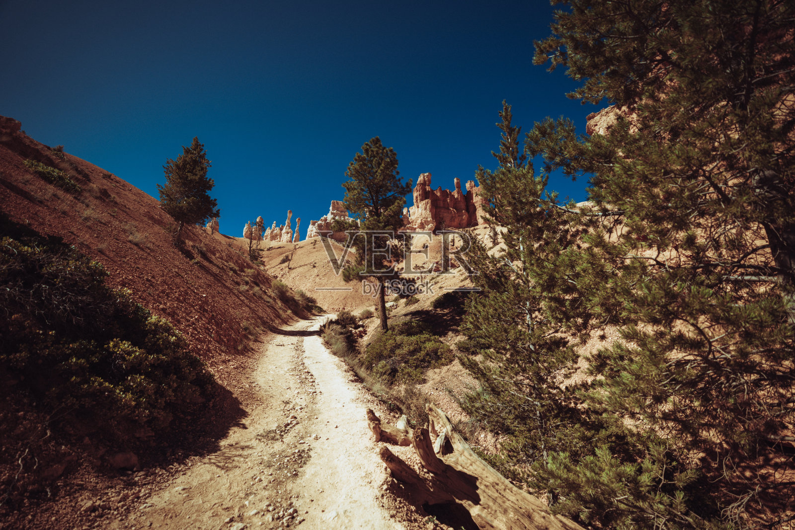 在布莱斯峡谷国家公园徒步旅行照片摄影图片