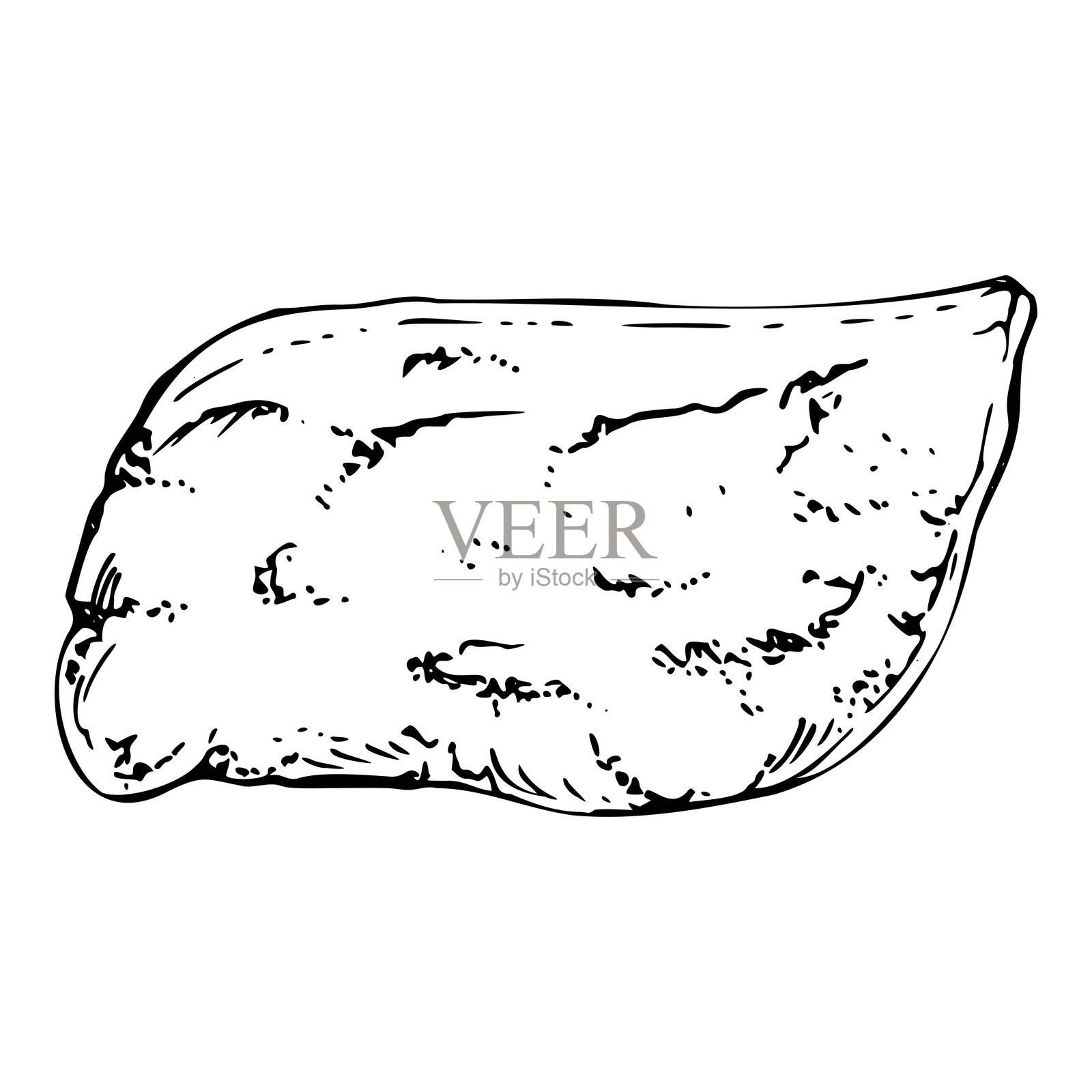 传统的日本素食素菜，稻利寿司豆腐包袋，炸芝士煎饼煎蛋蛋烧。手绘矢量笔，墨水。插图餐厅，咖啡馆菜单，食谱书插画图片素材