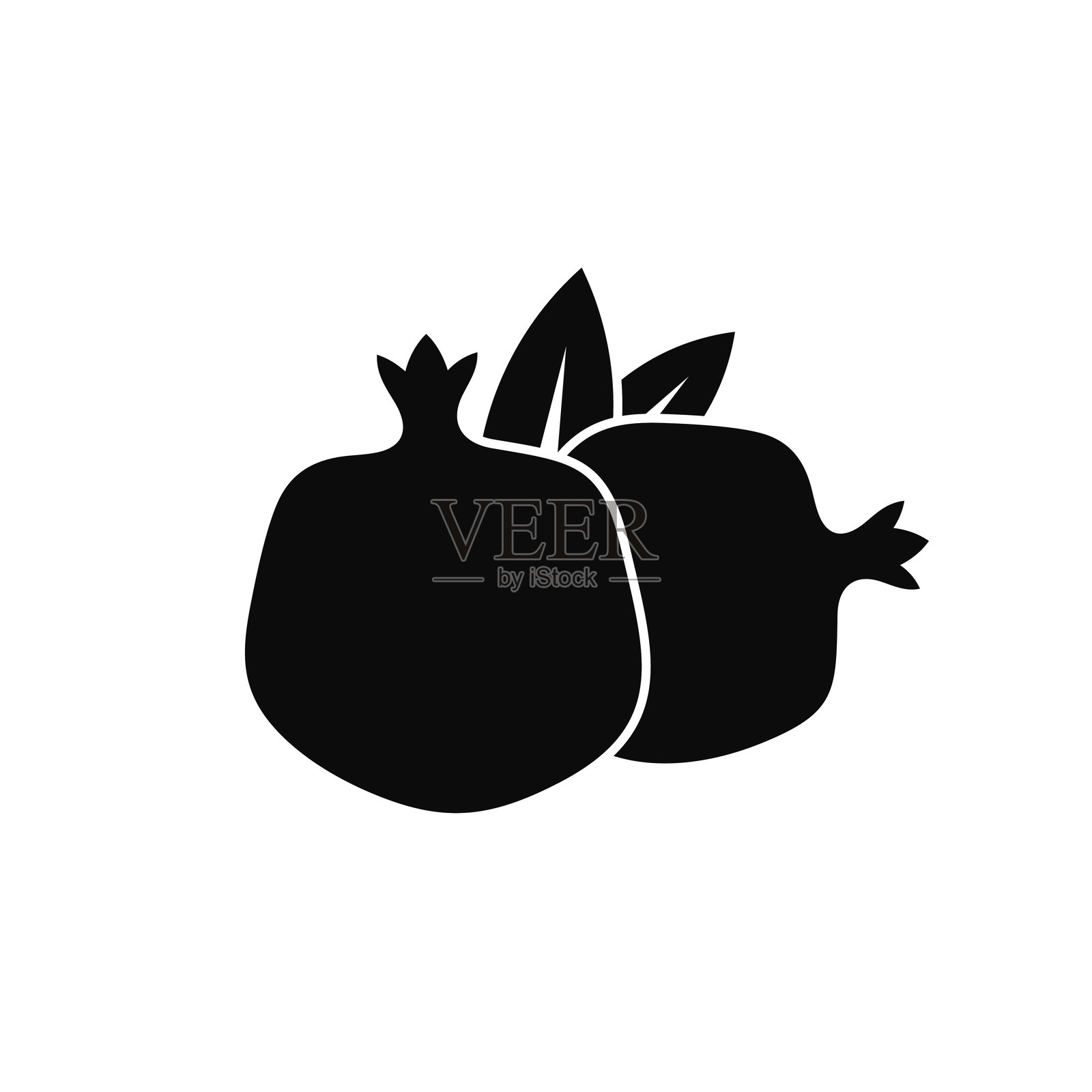 石榴叶。孤立的图标插画图片素材