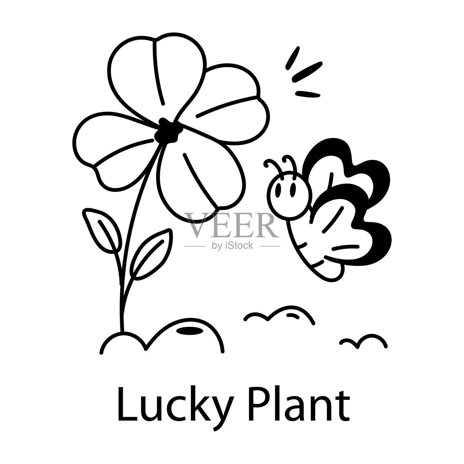 幸运的植物插画图片素材