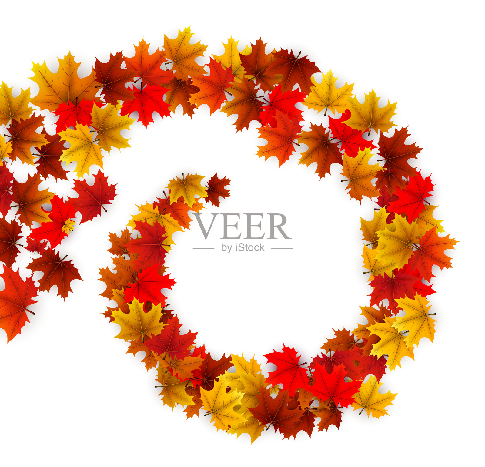 白色背景上旋转的枫叶花环插画图片素材