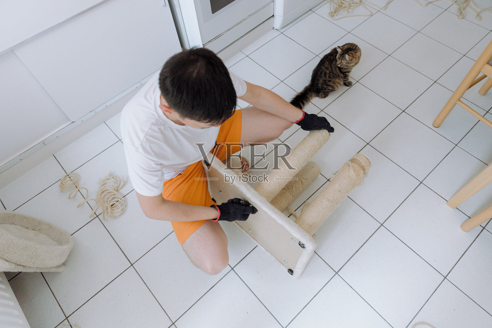 一个男人正在家里装修猫的房子。照片摄影图片