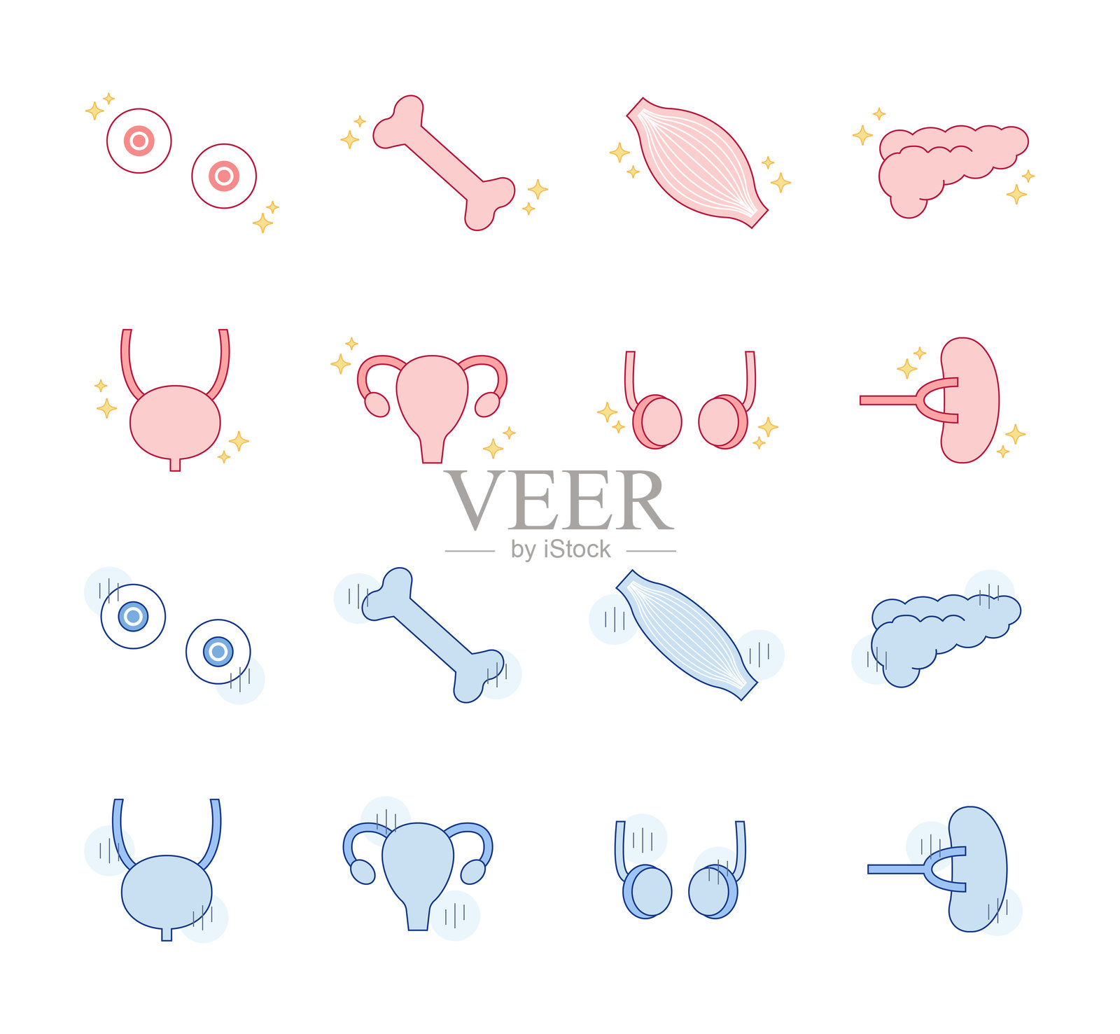 健康内脏，不健康器官，插图，线条绘制，简单设计，健康，眼球，骨骼，肌肉，胰腺，器官插画图片素材