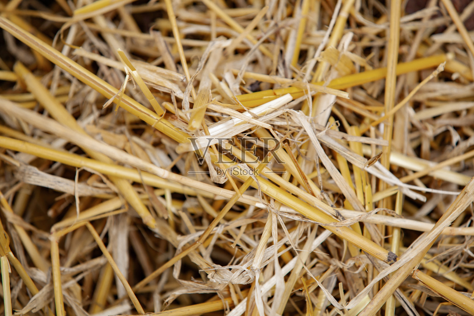 金色稻草的特写。照片摄影图片