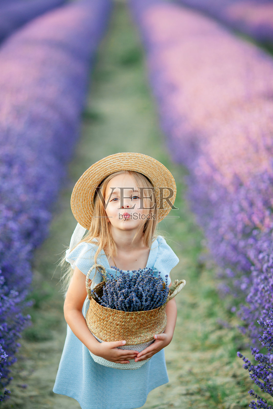 可爱的5岁小女孩的肖像，棕色的眼睛，蓝色的裙子。薰衣草地里快乐的孩子。夏天。照片摄影图片