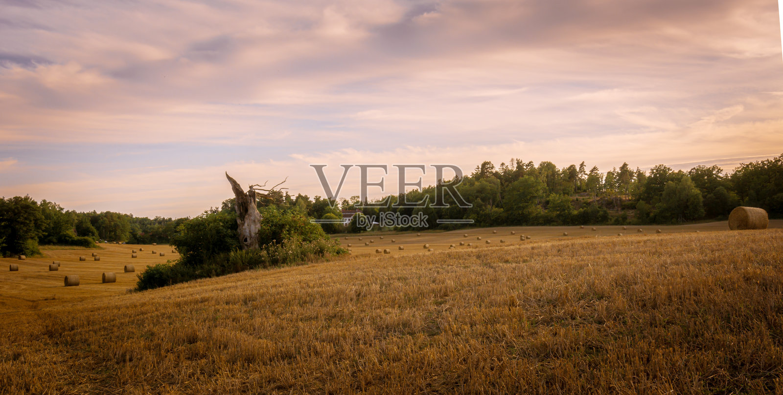 收获后的景观照片摄影图片
