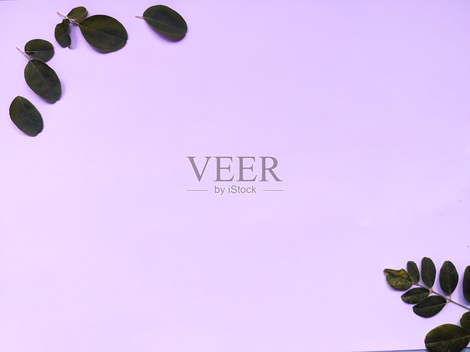 叶子的背景和纹理照片摄影图片