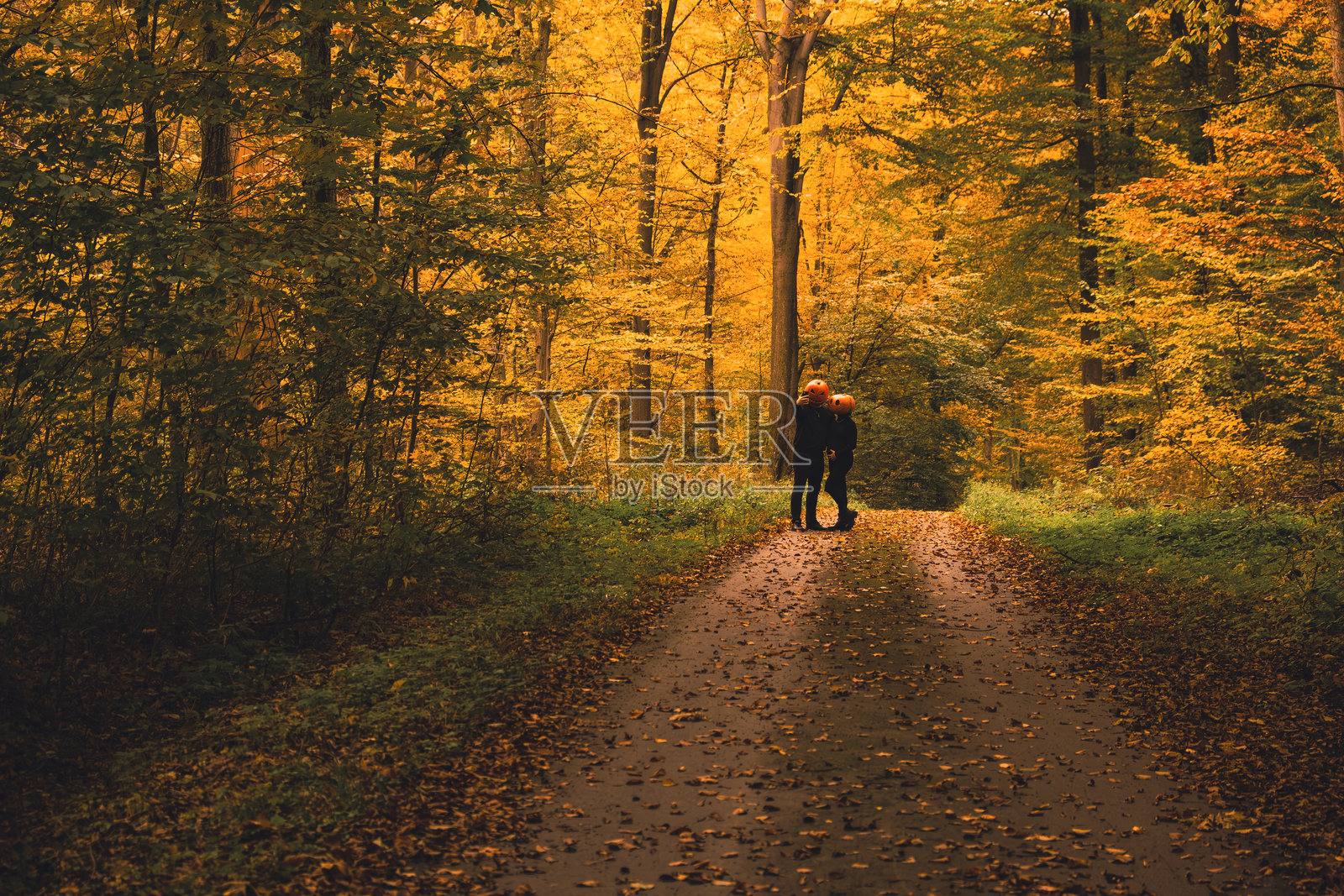秋天森林里一对南瓜头情侣照片摄影图片