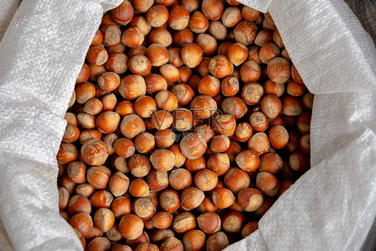 带壳的榛子，装在白色袋子里。照片摄影图片