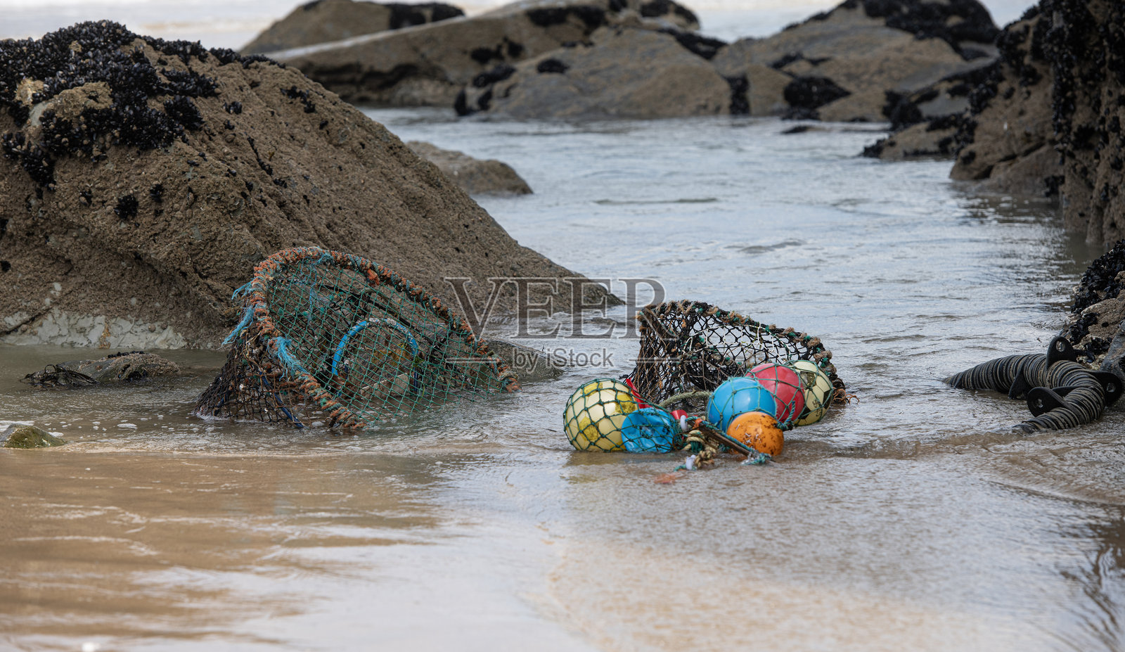 环境照片摄影图片