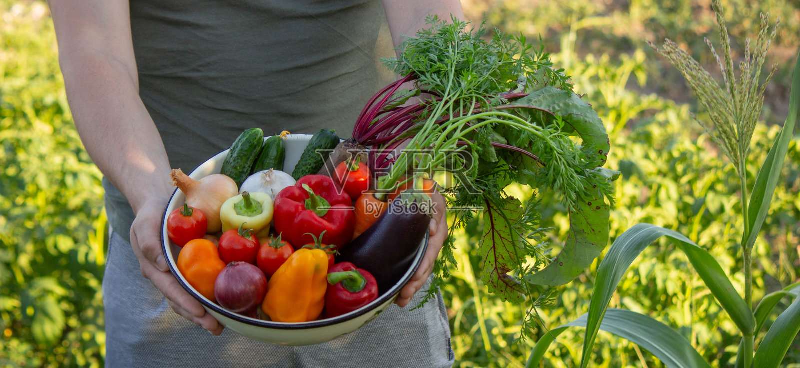 一名男子在碗里盛着新鲜采摘的蔬菜。有选择性的重点照片摄影图片