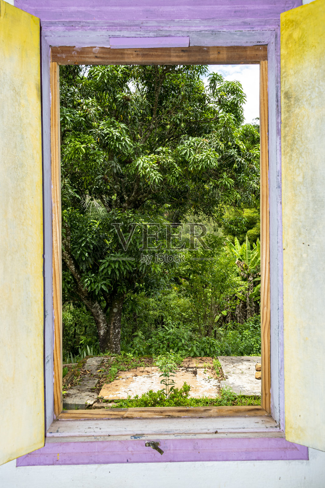 打开一扇可以看到农场森林的蓝色窗户。照片摄影图片