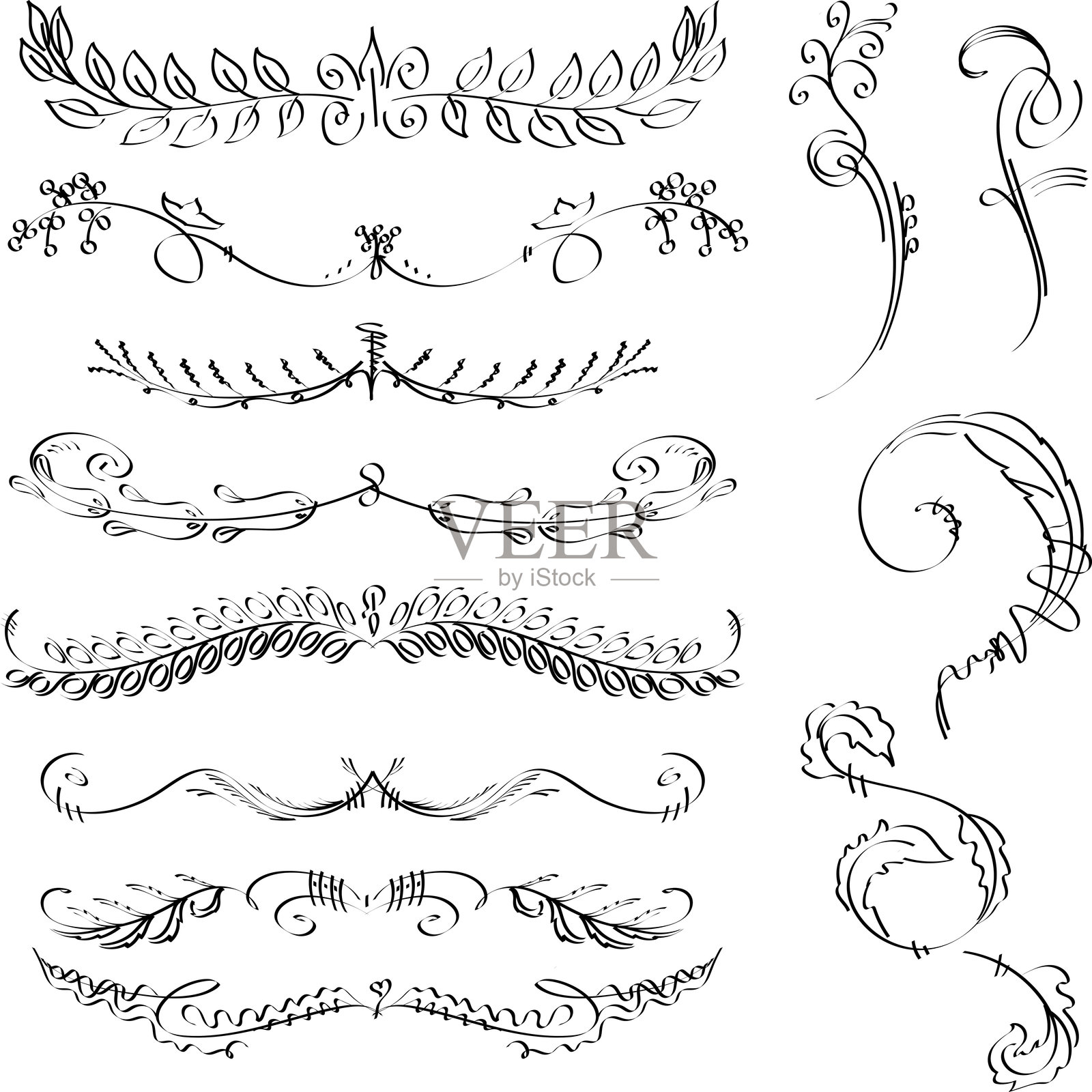 末尾使用的花卉设计插画图片素材