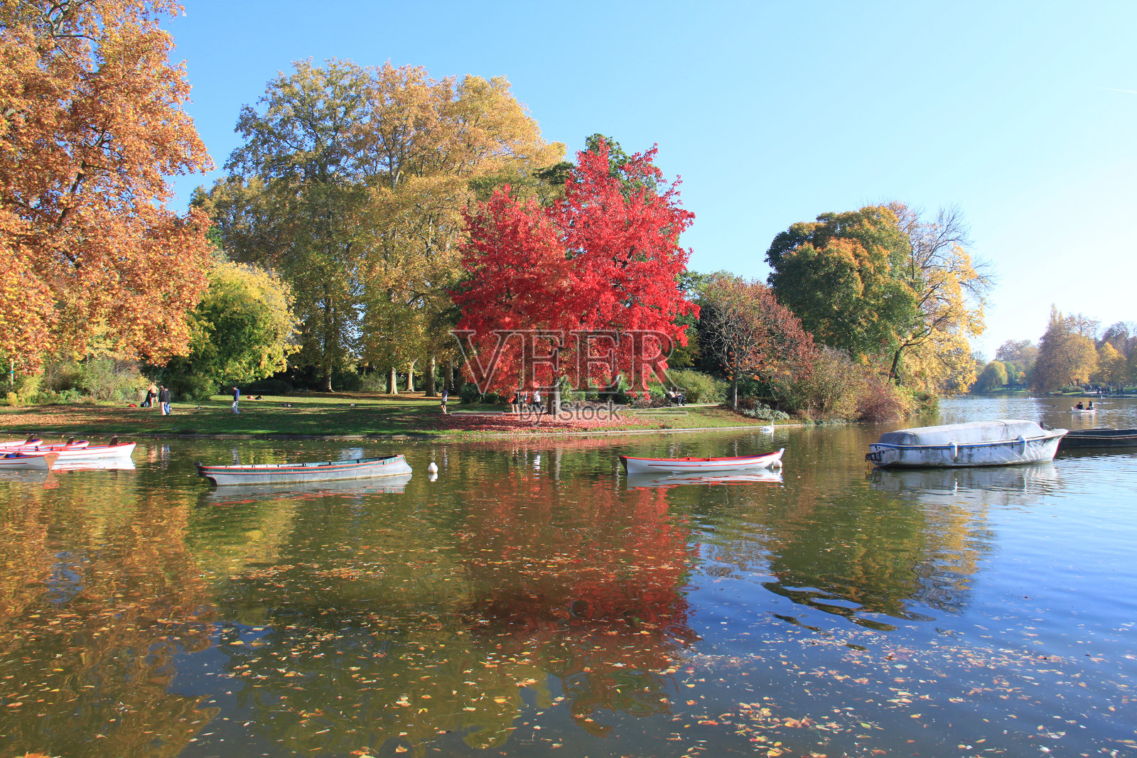 文森地区公园照片摄影图片