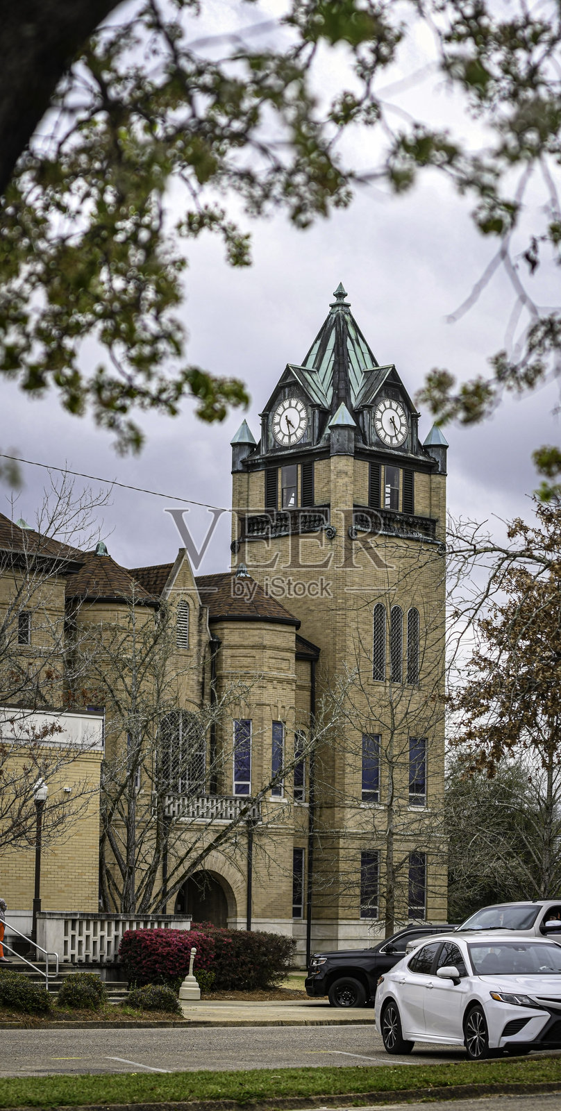 普拉特维尔法院大楼被树框定照片摄影图片