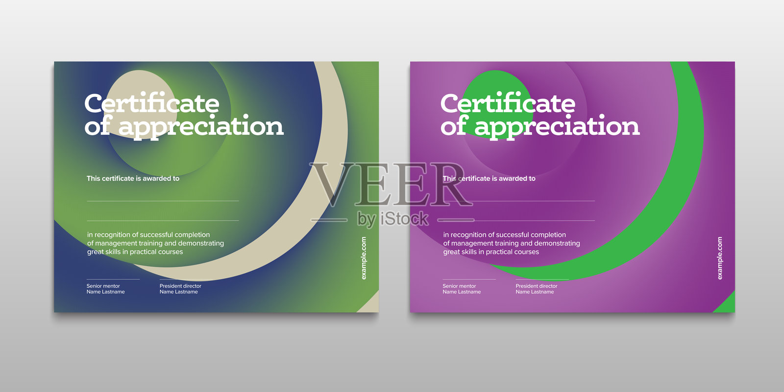 鉴赏证书模板设计。优雅的商务文凭布局，适合培训毕业或课程完成。矢量背景插图。插画图片素材