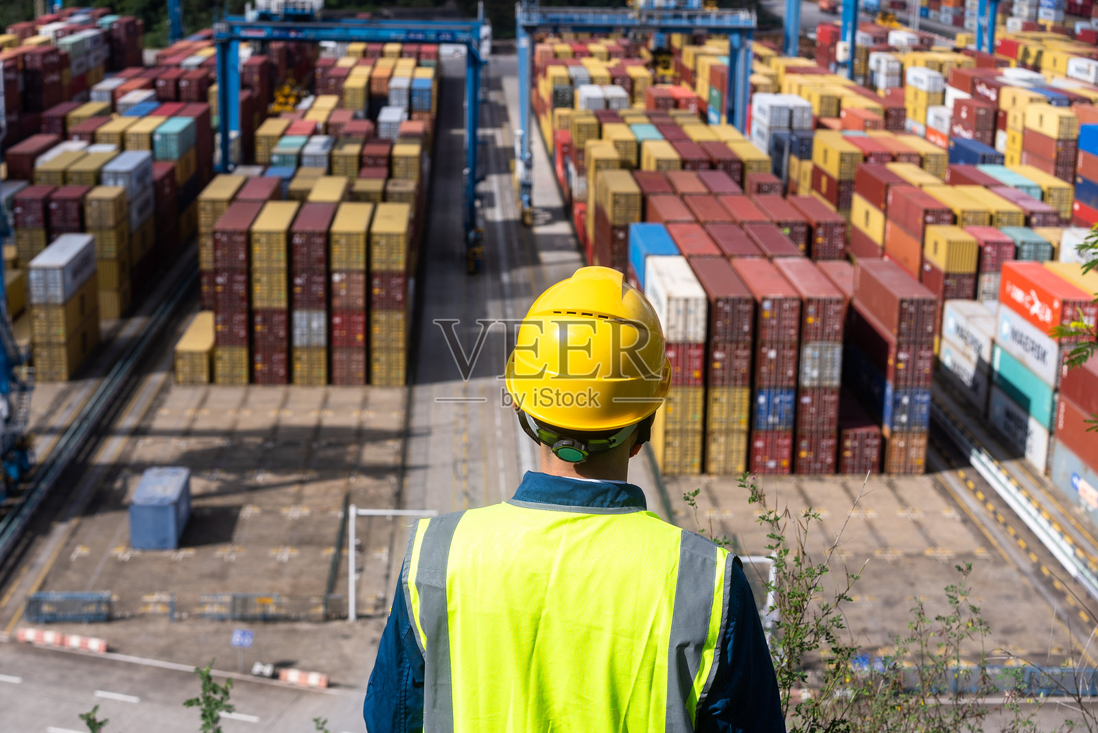 技术人员在码头港口使用平板电脑照片摄影图片