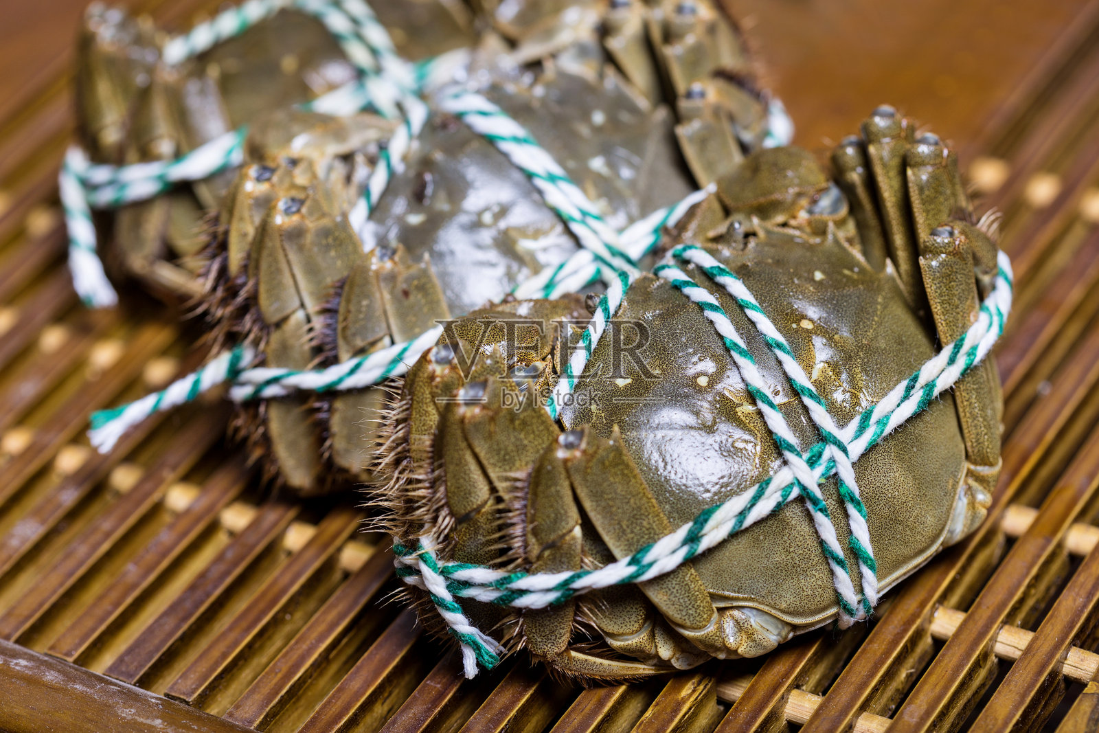 捆扎好活的大闸蟹照片摄影图片