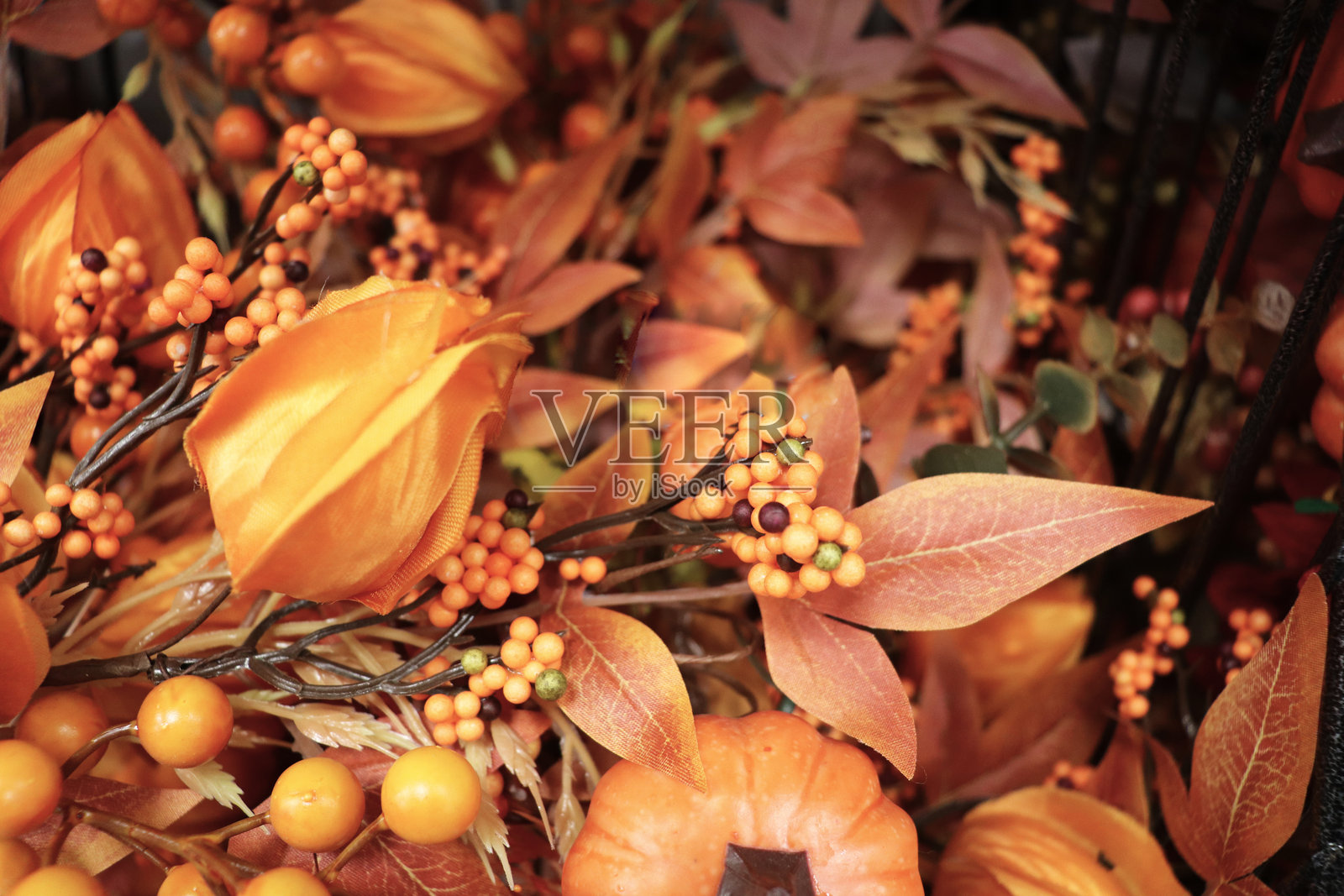 秋天五彩缤纷的树叶组成照片摄影图片