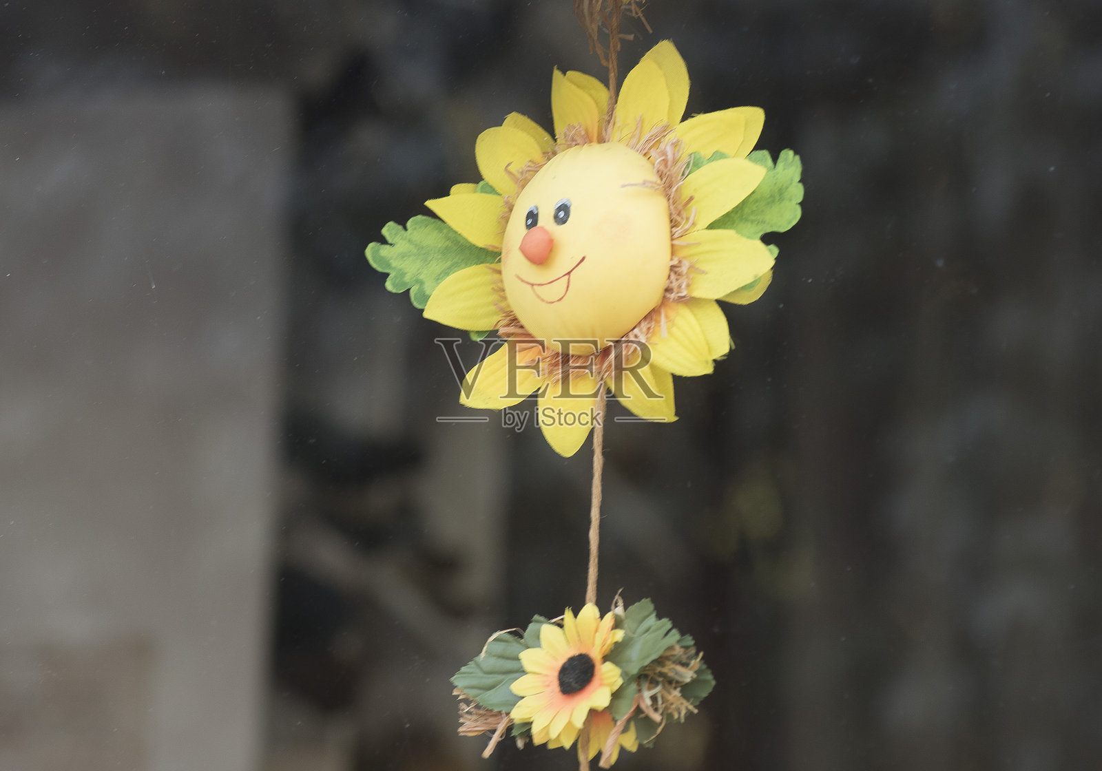 用于装饰目的的花符号照片摄影图片