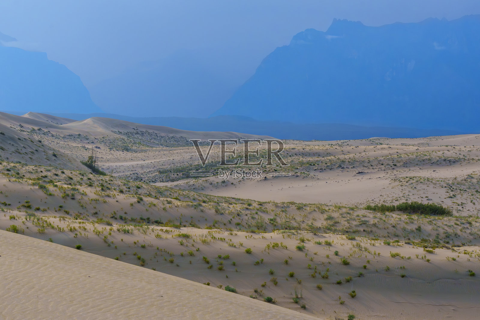 广阔的沙漠沙丘，稀疏的植被和遥远的山脉照片摄影图片