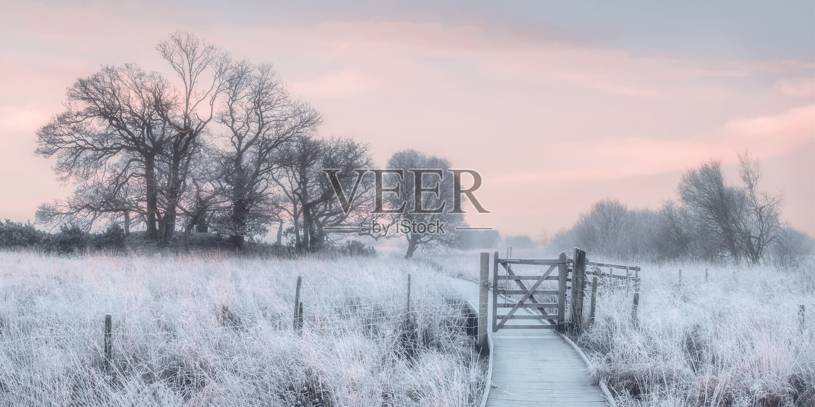 冬天的风景照片摄影图片