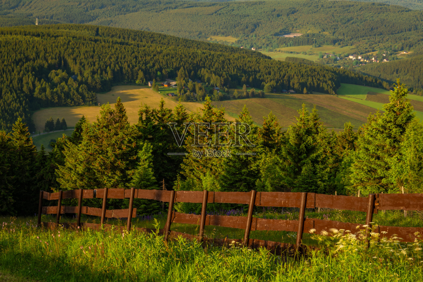 夏天炎热的傍晚，草地上有木篱笆照片摄影图片