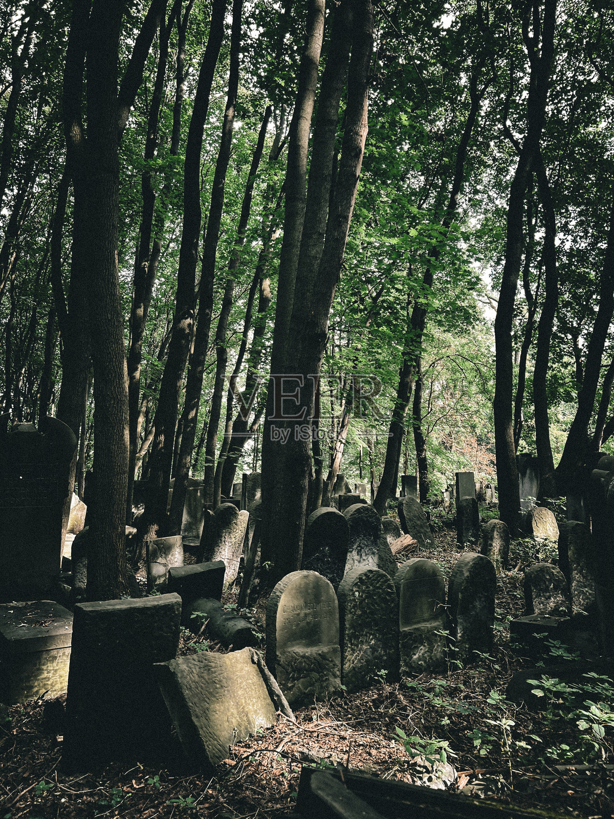 华沙一个古老的犹太人墓地照片摄影图片