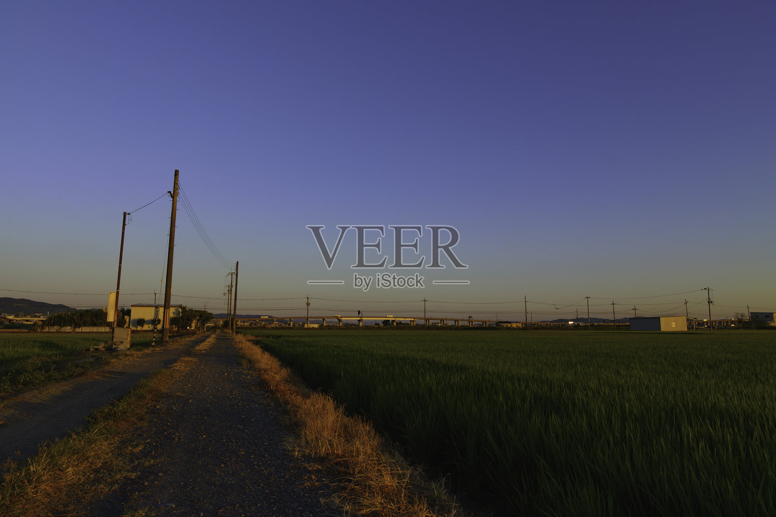 日本京都黄昏的稻田照片摄影图片