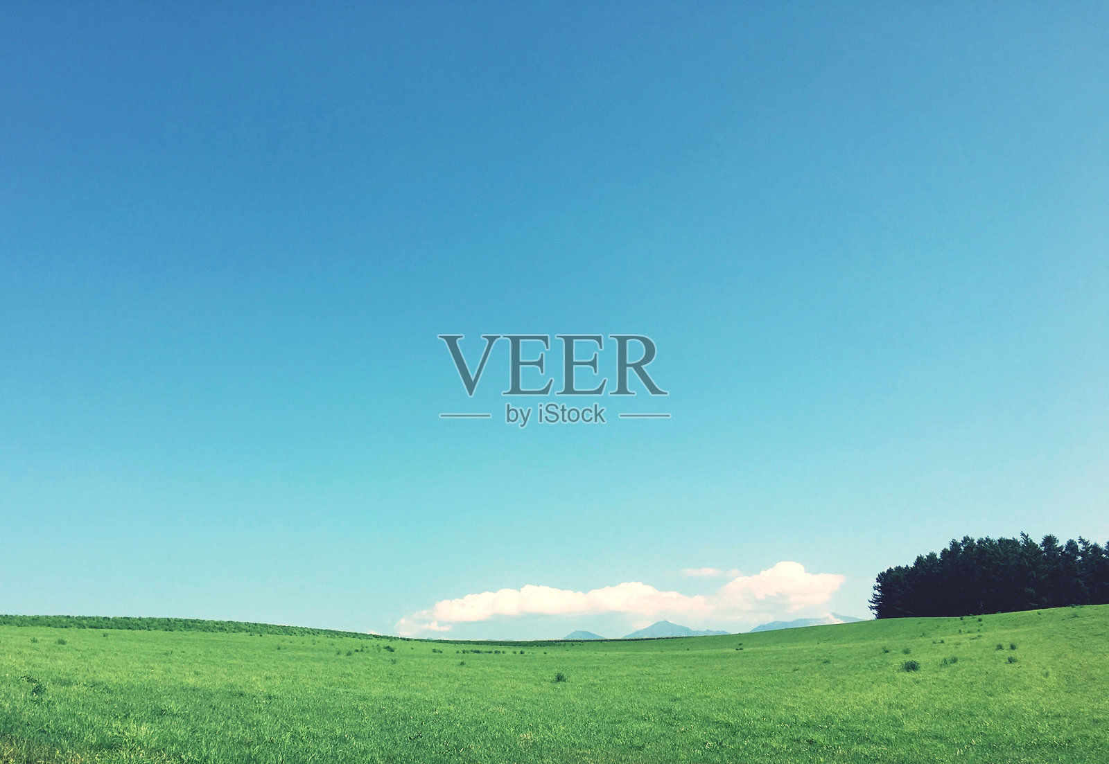 湛蓝天空下的田野风景照片摄影图片