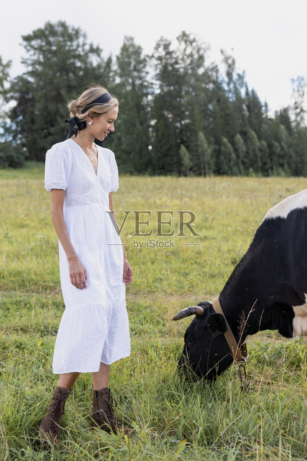 一名妇女抓着躺在绿色田野里的一头黑白相间的奶牛的头照片摄影图片