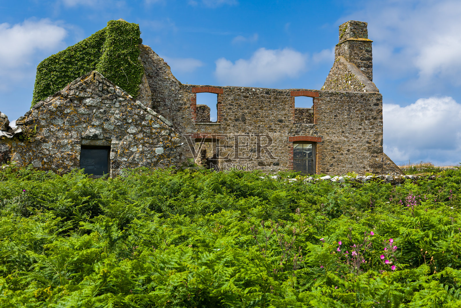 威尔士斯科默岛古老的废弃建筑和郁郁葱葱的树叶照片摄影图片