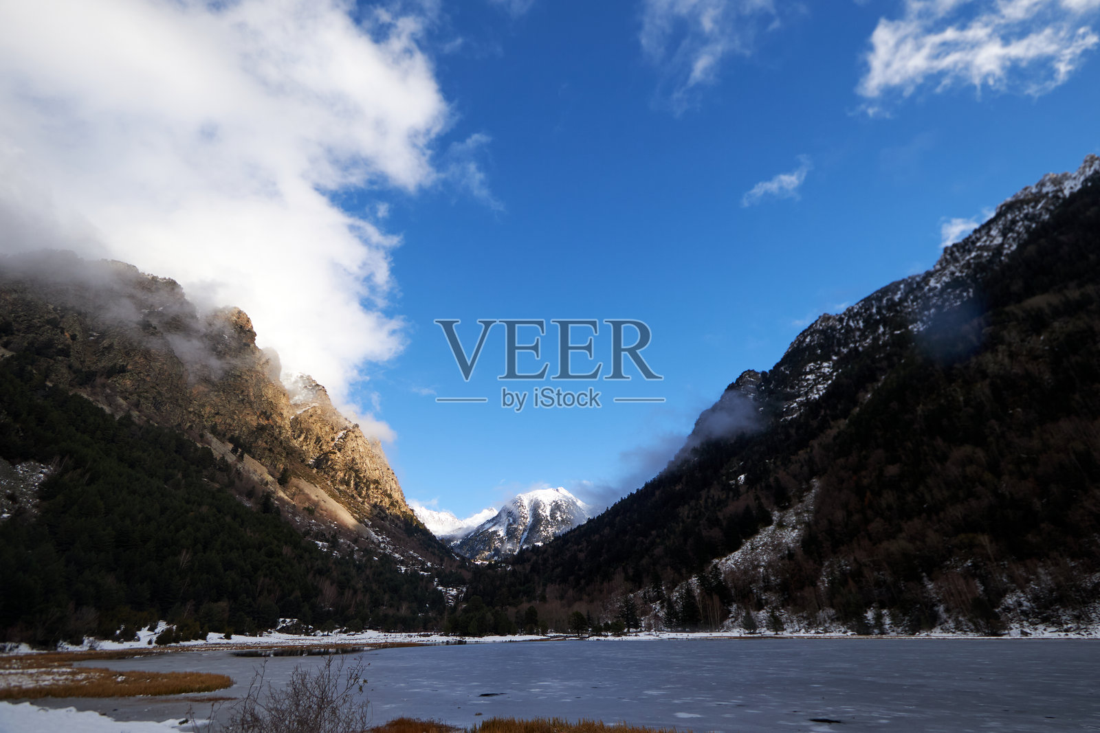 LAGO蒙大拿照片摄影图片