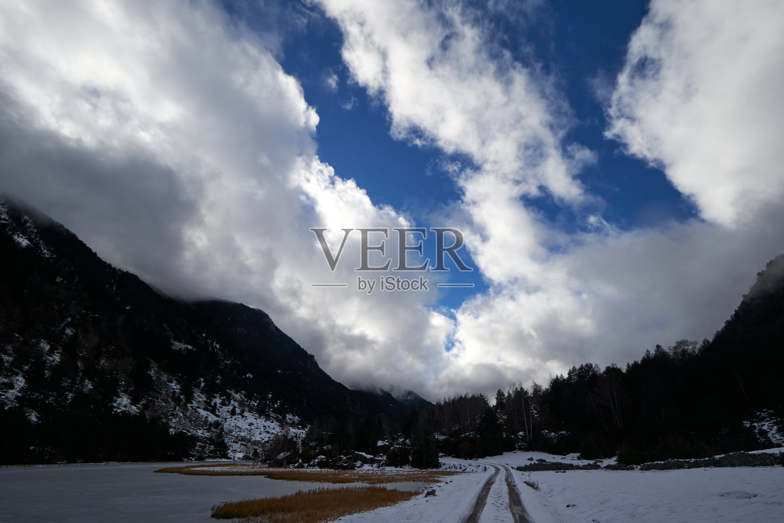 LAGO蒙大拿照片摄影图片