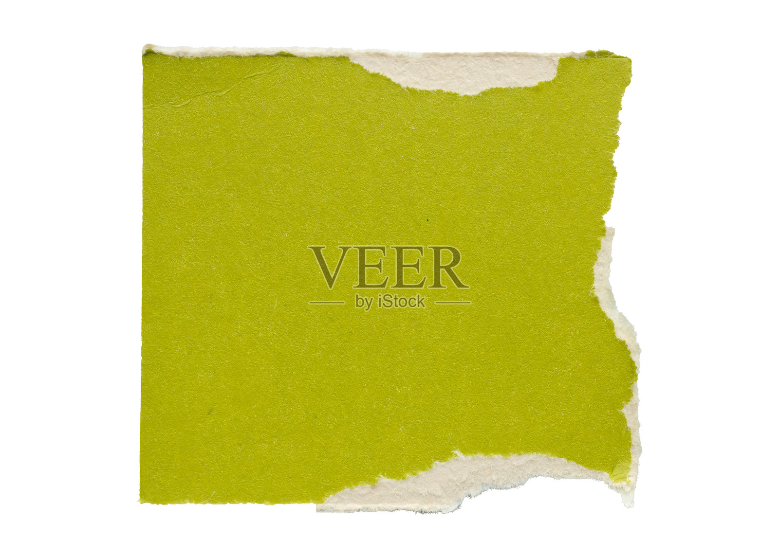 一张绿色的纸被孤立在白色的背景上照片摄影图片