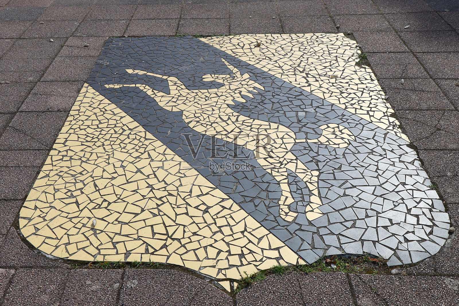 萨文-盾形纹章照片摄影图片