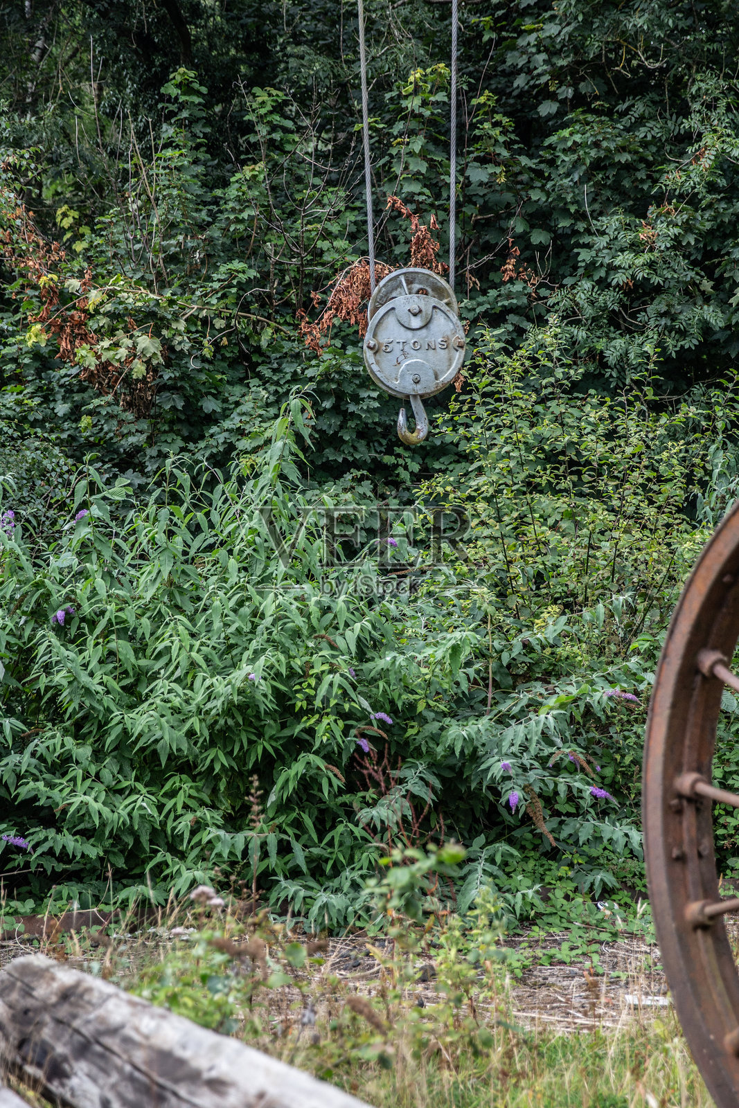 老吊车吊钩挂在草木上，用来吊起重物四处运输照片摄影图片