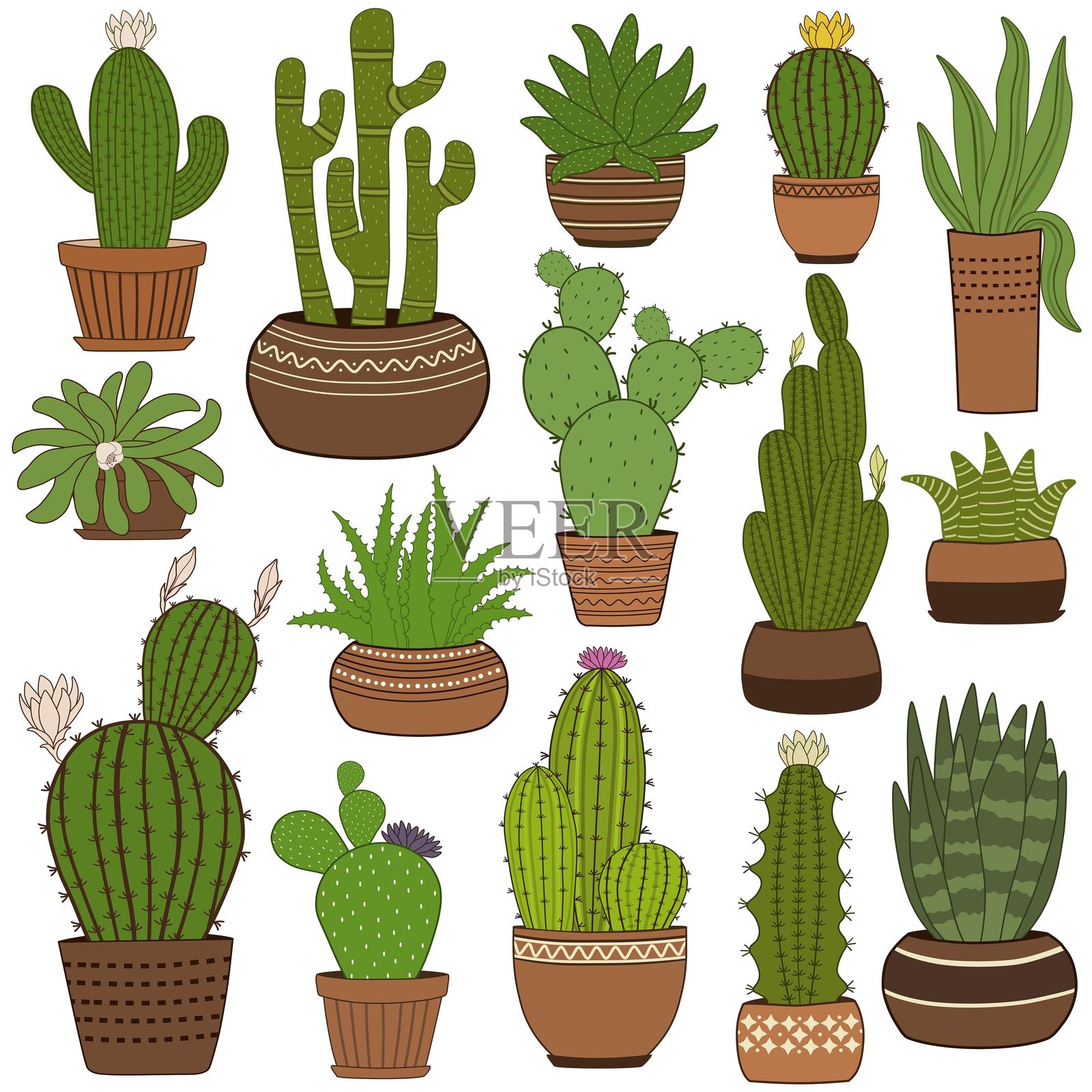 可爱的图案仙人掌植物在花盆里插画图片素材