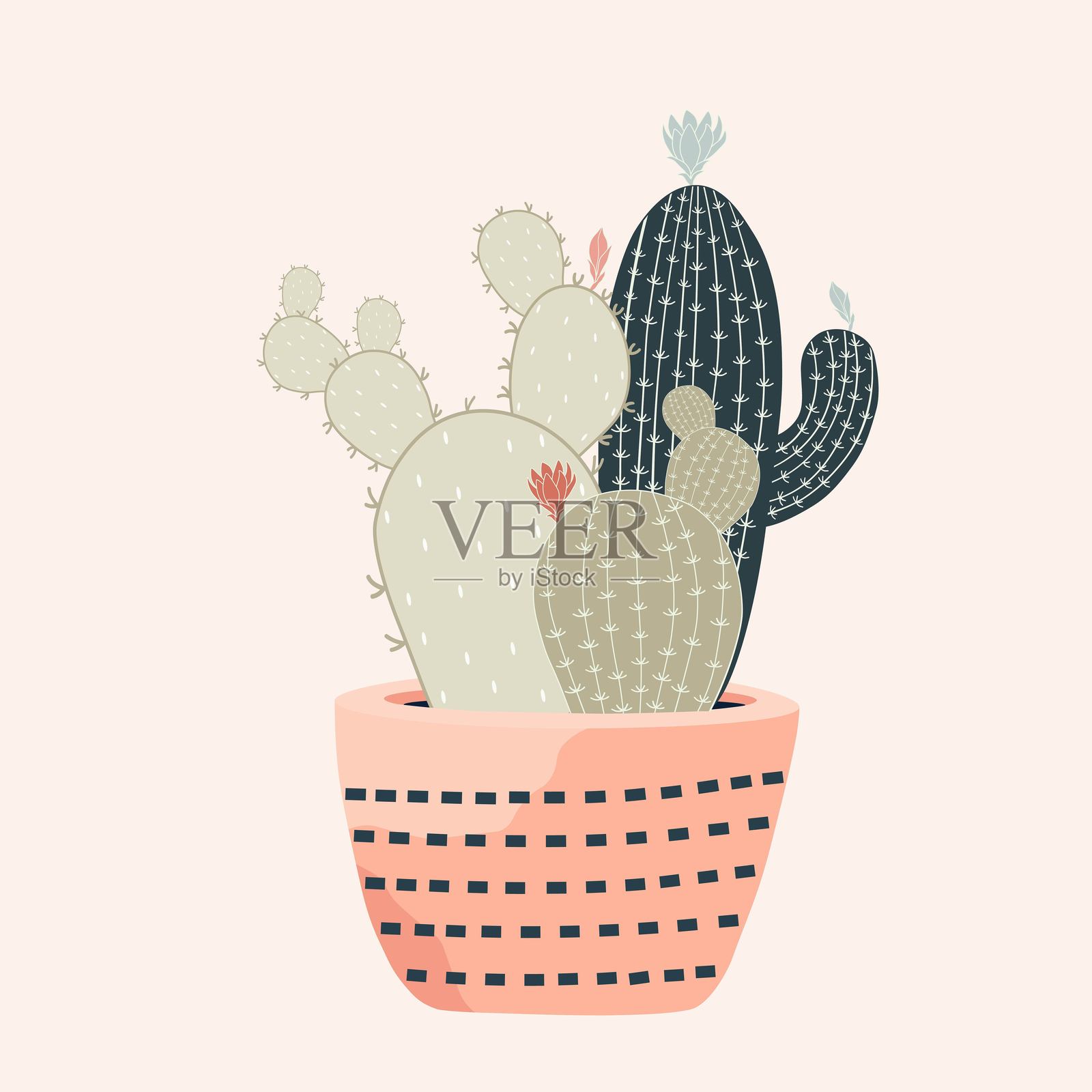 盆栽中的仙人掌插画图片素材